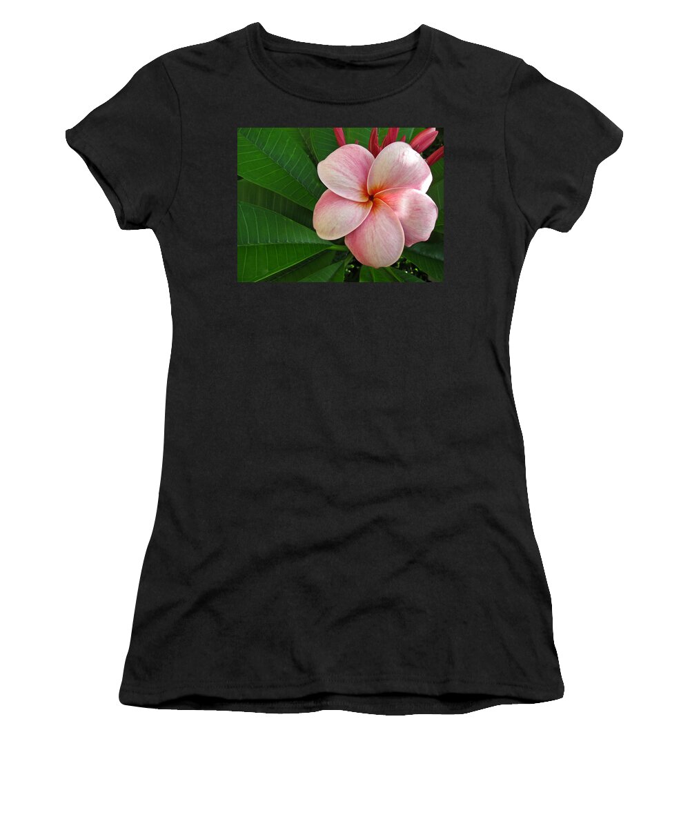Plumeria Women's T-Shirt featuring the photograph Pink Plumeria by Shane Kelly