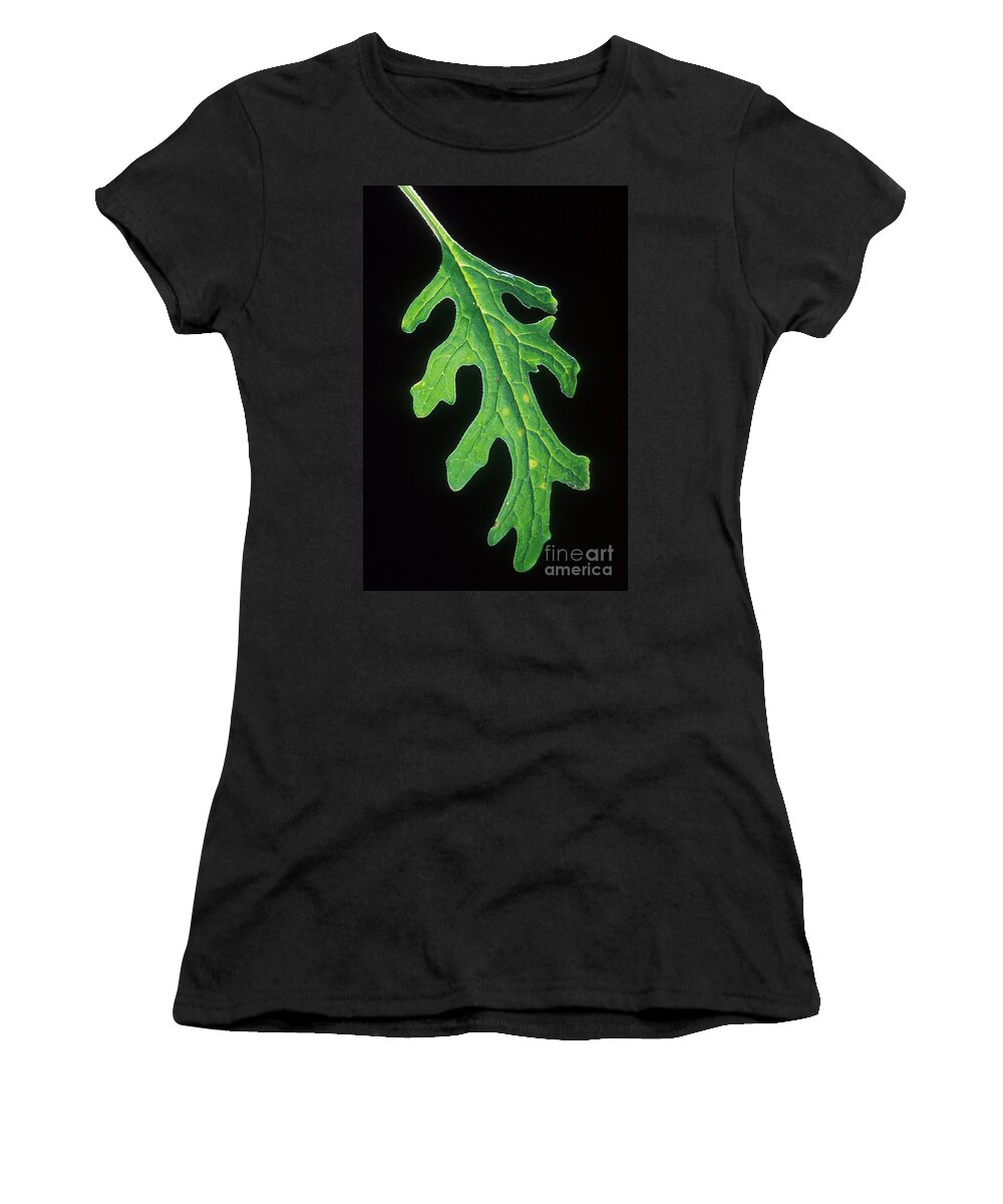 Leaf Women's T-Shirt featuring the photograph Plum Pox Virus by Science Source