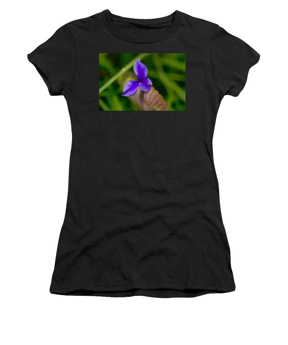 Purple Women's T-Shirt featuring the photograph Purple Bromeliad Flower by Douglas Barnard