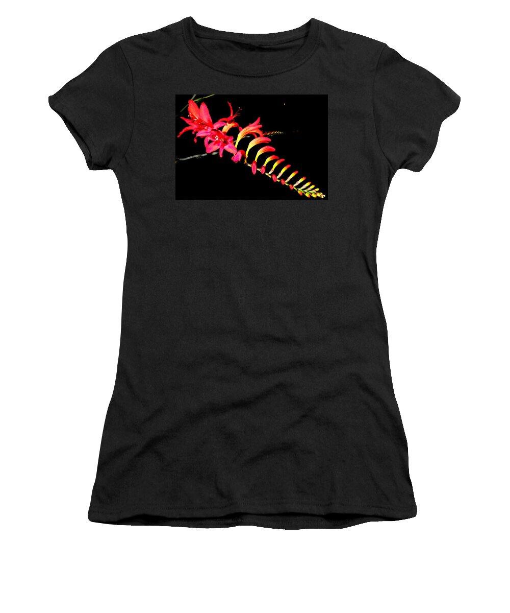 Red Women's T-Shirt featuring the photograph Red Beauty by Kim Galluzzo