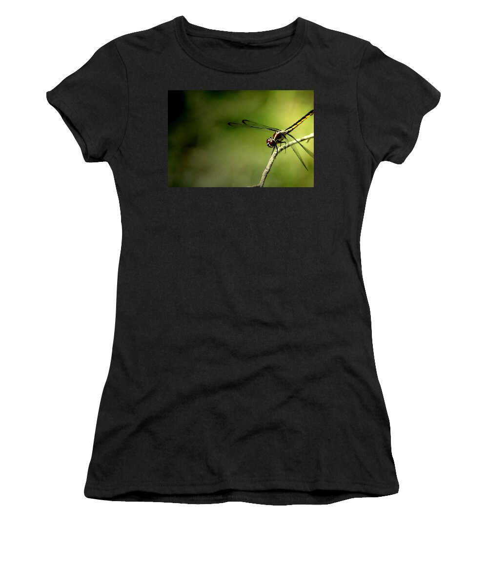 Dragonfly Women's T-Shirt featuring the photograph Red Dragon 2 by David Weeks