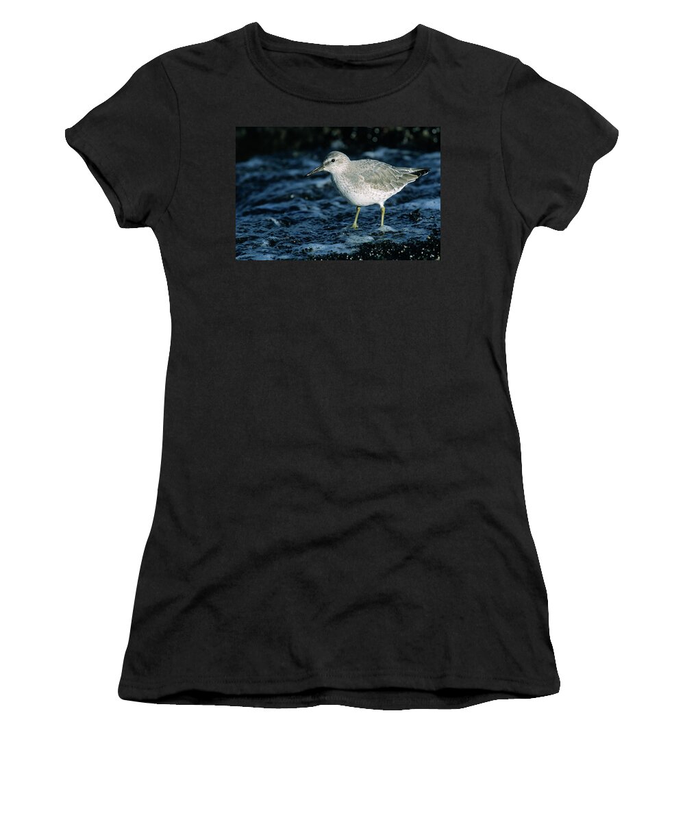 Fn Women's T-Shirt featuring the photograph Red Knot Calidris Canutus In Winter by Hans Schouten