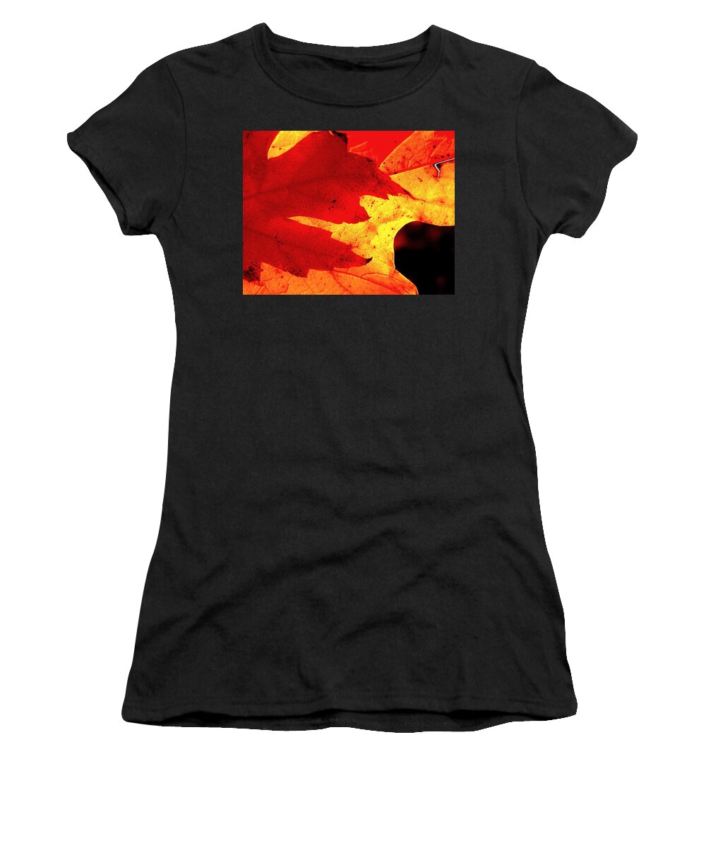 Leaves Women's T-Shirt featuring the photograph Red On Gold by Chris Berry