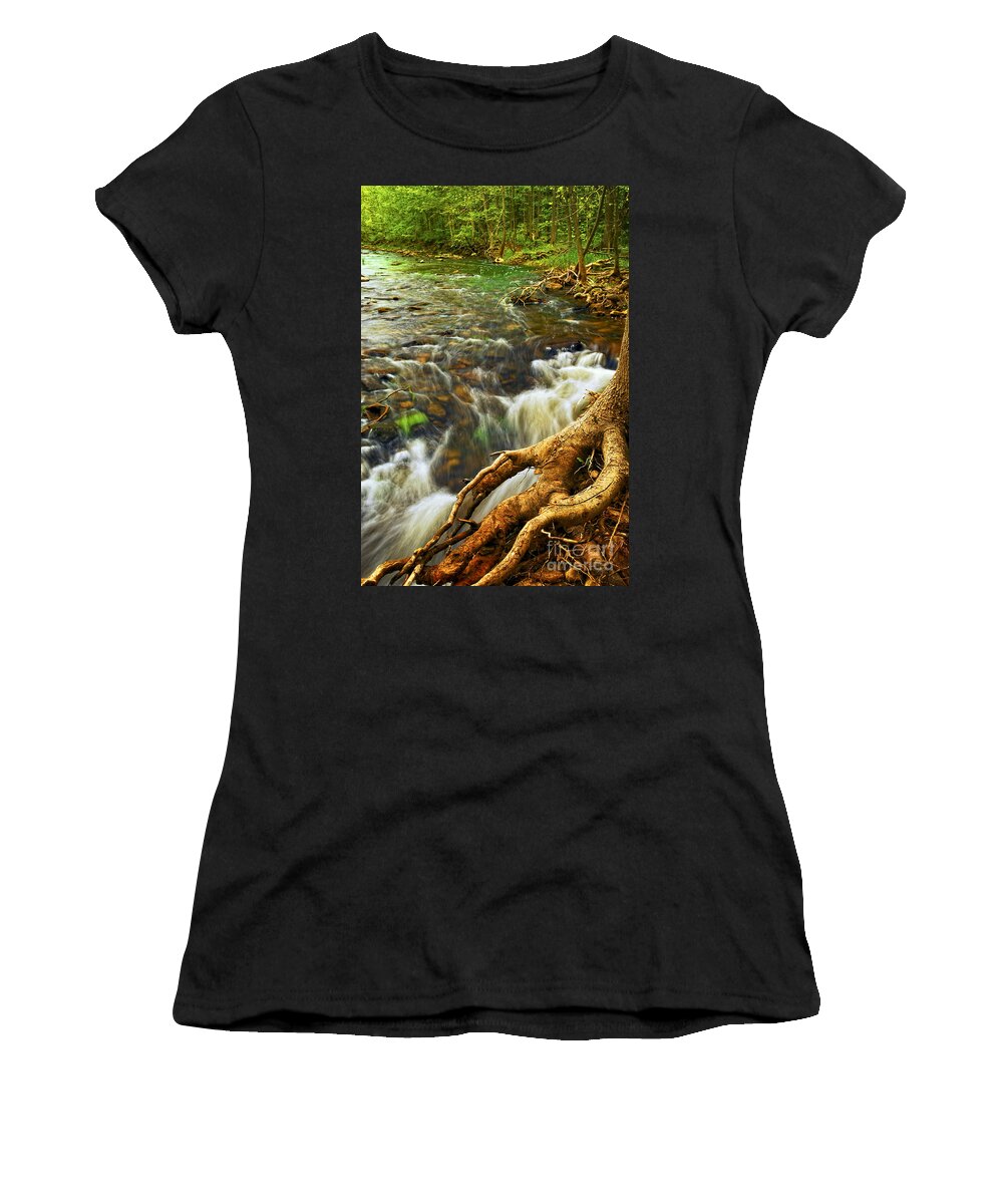 Water Women's T-Shirt featuring the photograph River rapids 4 by Elena Elisseeva