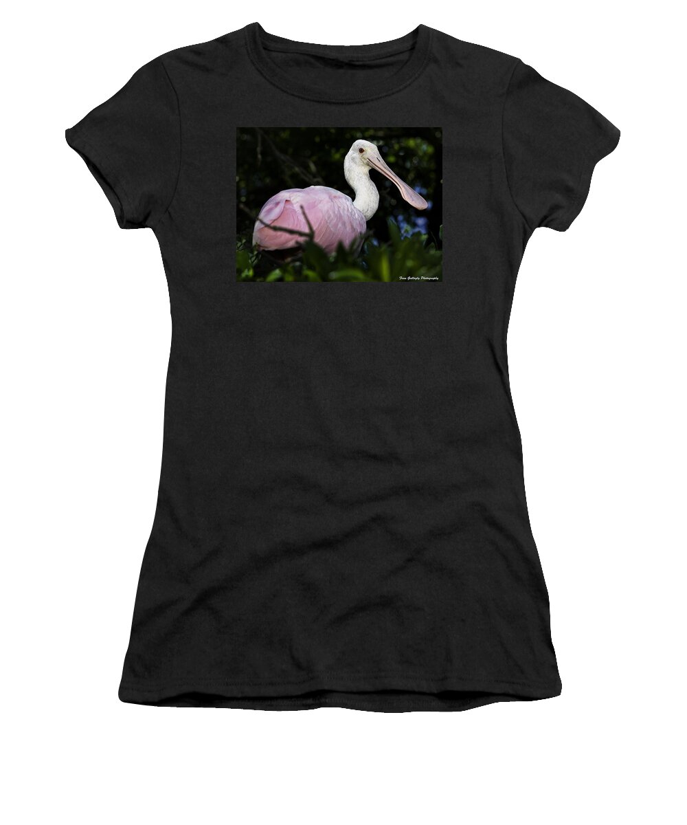 Bird Women's T-Shirt featuring the photograph Roseate Spoonbill by Fran Gallogly