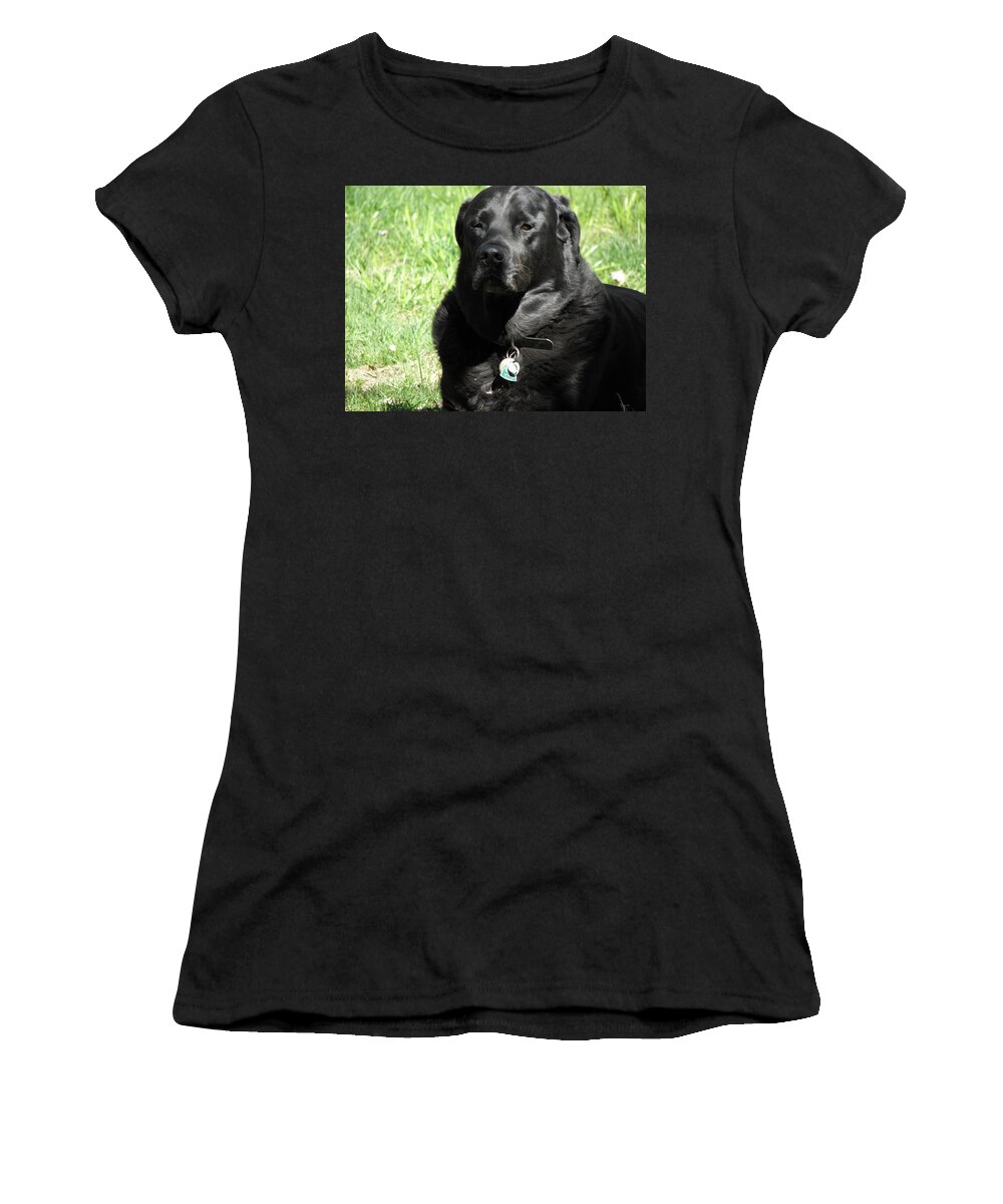 Dog Women's T-Shirt featuring the photograph Serious Stare Down by Kim Galluzzo
