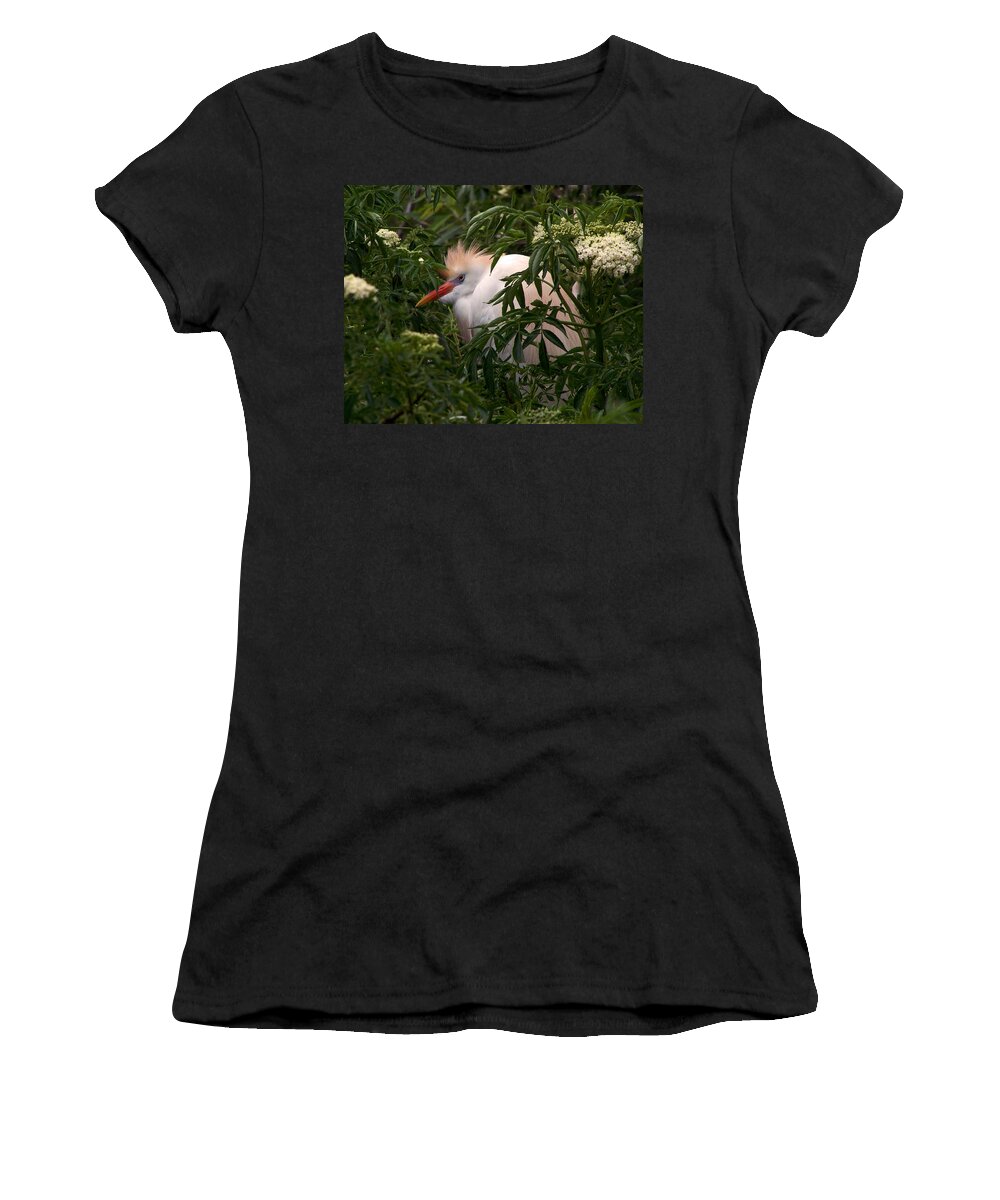 Nature Women's T-Shirt featuring the photograph Sleepy Egret in Elderberry by Peggy Urban