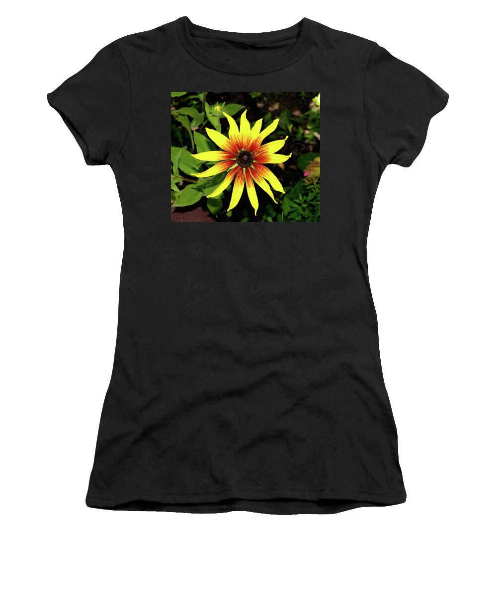 Flower Women's T-Shirt featuring the photograph Starburst by Greg Jones