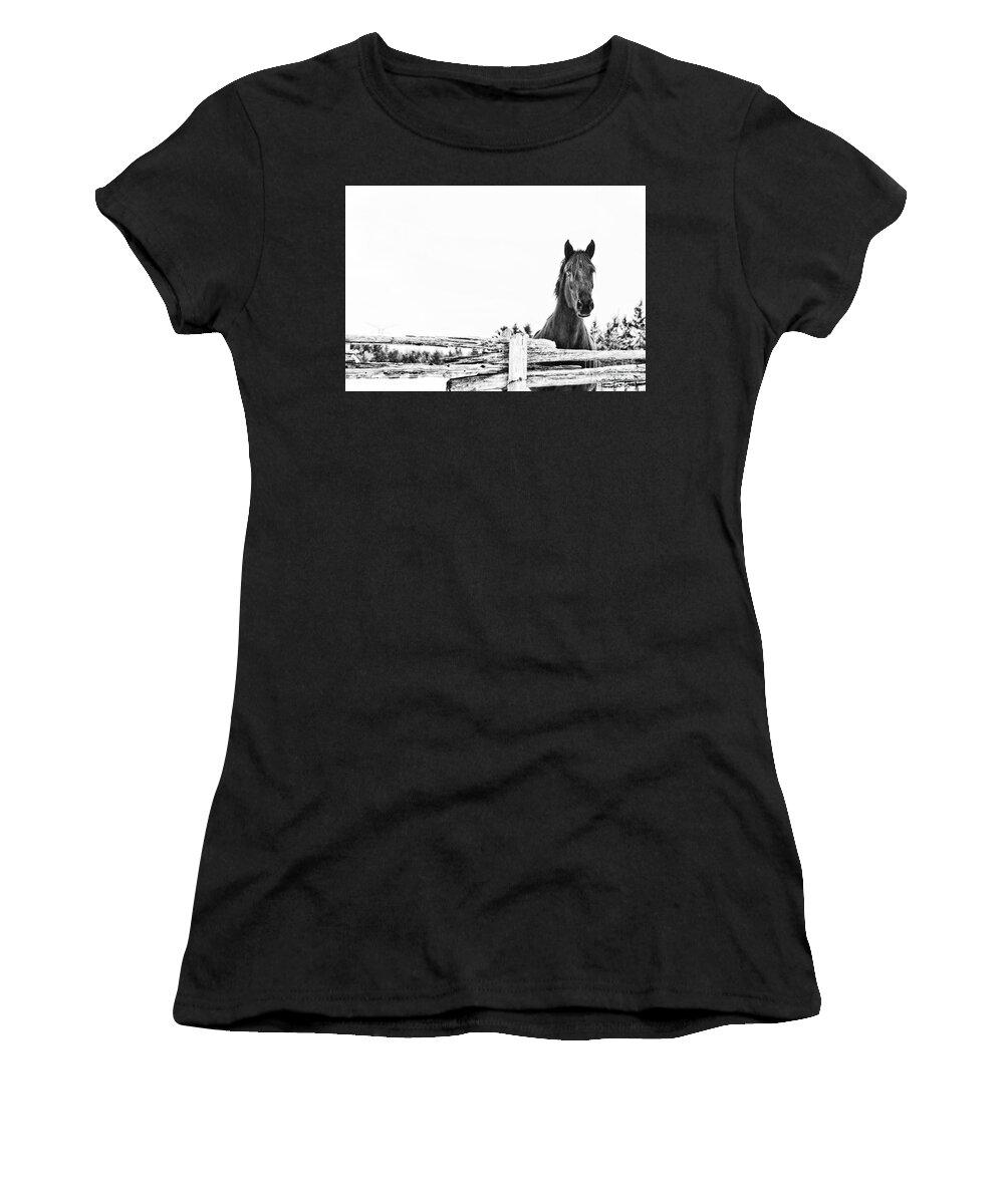 Horse Women's T-Shirt featuring the photograph Take Me for a Ride by Traci Cottingham