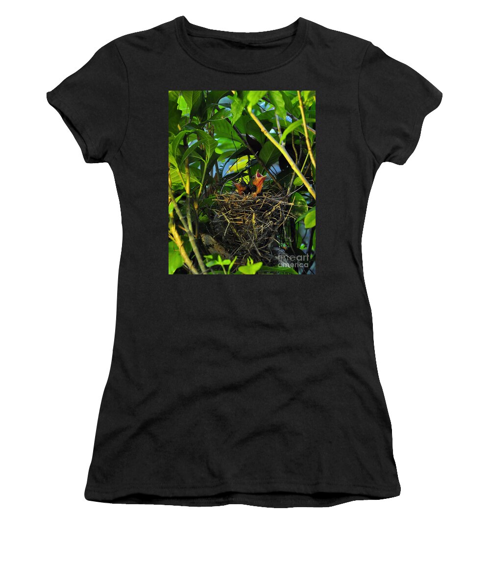 Cardinals Women's T-Shirt featuring the photograph Three of a Kind by Al Powell Photography USA