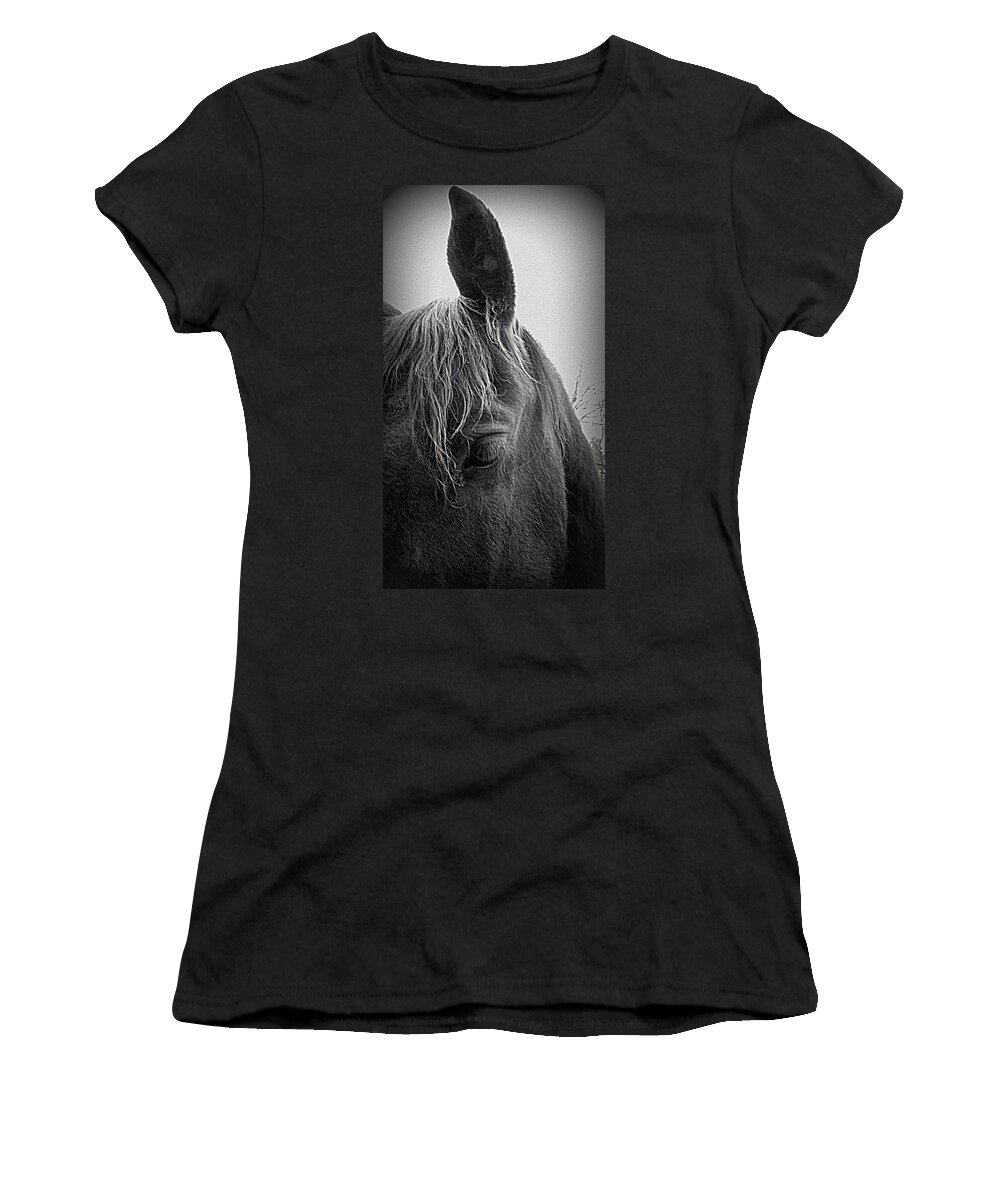 Friesians Women's T-Shirt featuring the photograph today I bow my head by Kim Galluzzo