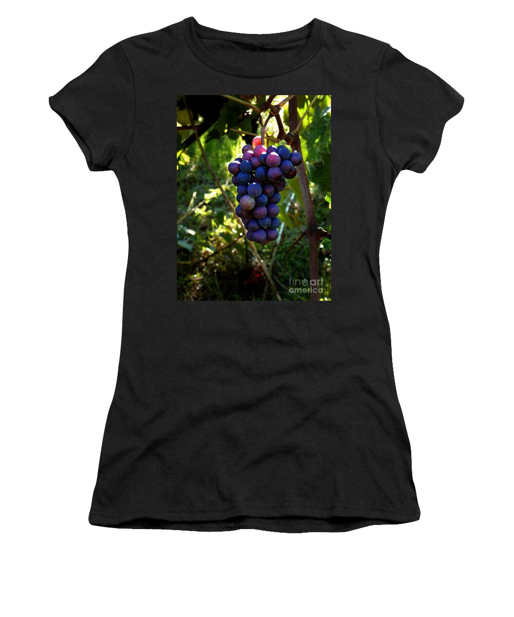 North California Women's T-Shirt featuring the photograph Vineyard 31 by Xueling Zou