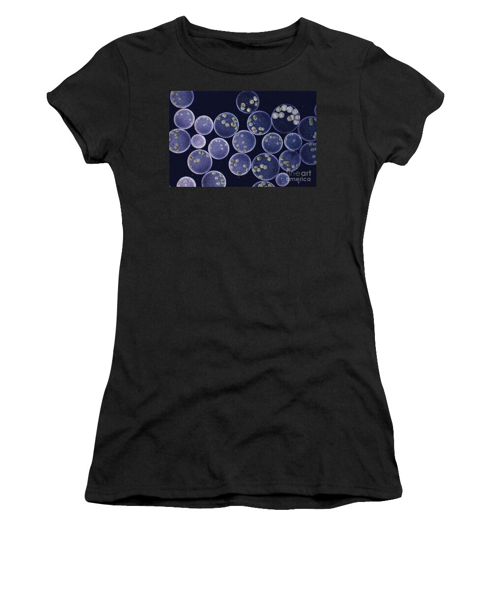 Volvox Women's T-Shirt featuring the photograph Volvox by M I Walker
