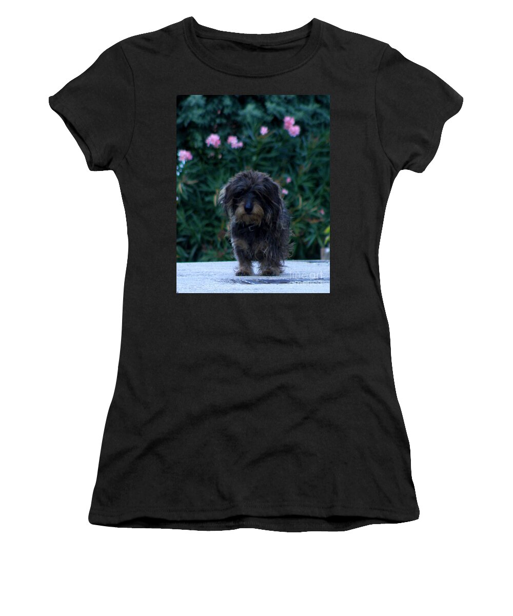 Dog Women's T-Shirt featuring the photograph Waiting by Lainie Wrightson