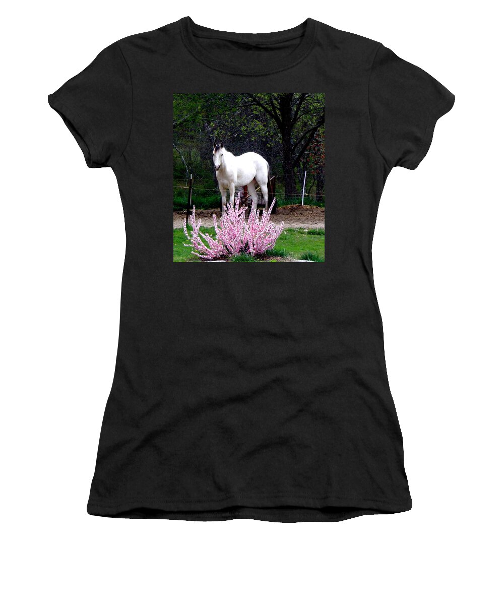 White Horse Women's T-Shirt featuring the photograph White Beauty beyond pink by Kim Galluzzo