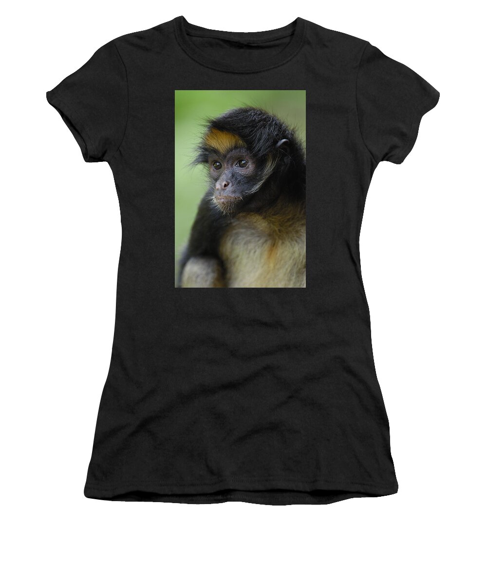 Mp Women's T-Shirt featuring the photograph White-bellied Spider Monkey Ateles by Pete Oxford