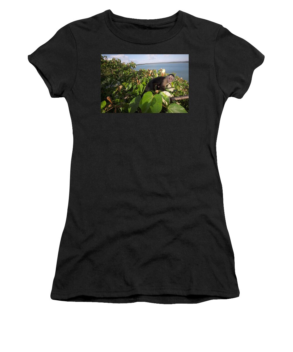 Mp Women's T-Shirt featuring the photograph White-faced Capuchin Cebus Capucinus by Christian Ziegler