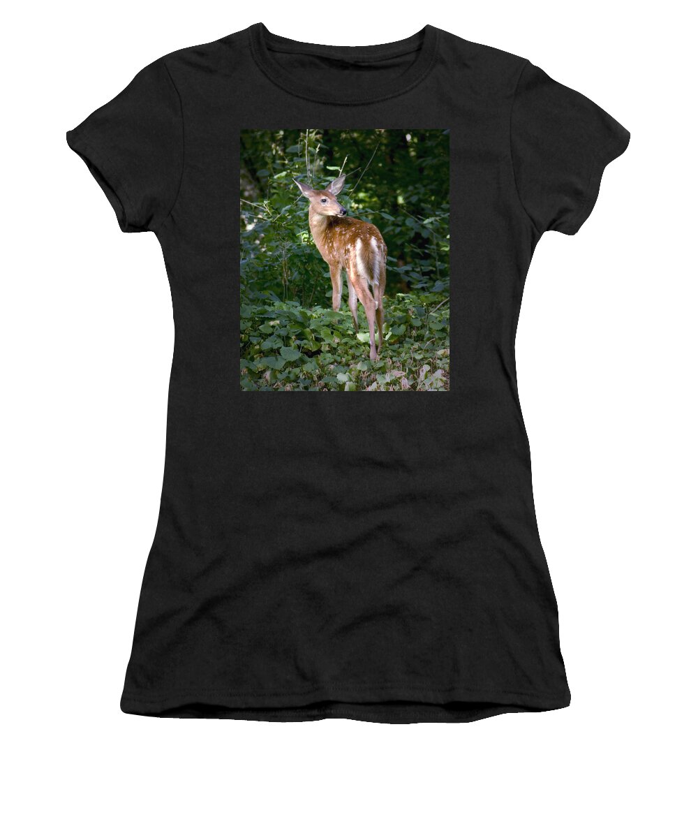 Whitetail Deer Fawn Young Bambi Mammal Looking Back Behind Folia Women's T-Shirt featuring the photograph Whitetail Deer Fawn by Randall Nyhof