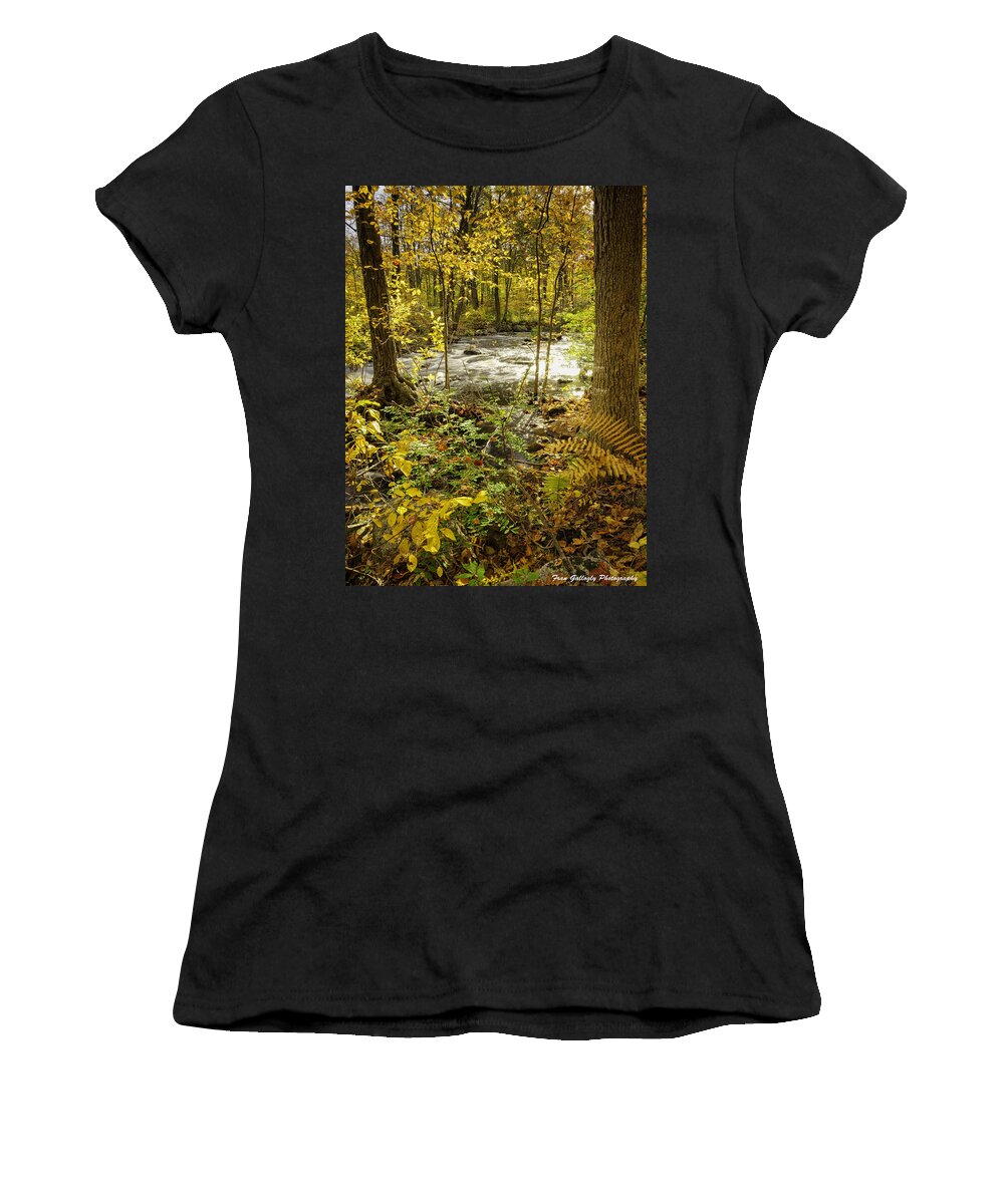 Landscape Women's T-Shirt featuring the photograph Woodland Scene by Fran Gallogly