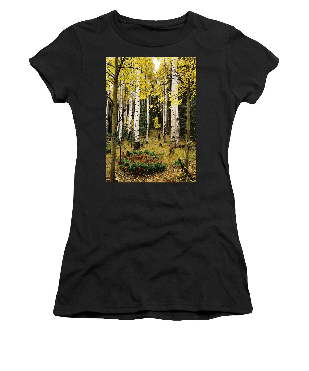 Red River Women's T-Shirt featuring the photograph Aspen Grove In Upper Red River Valley by Ron Weathers