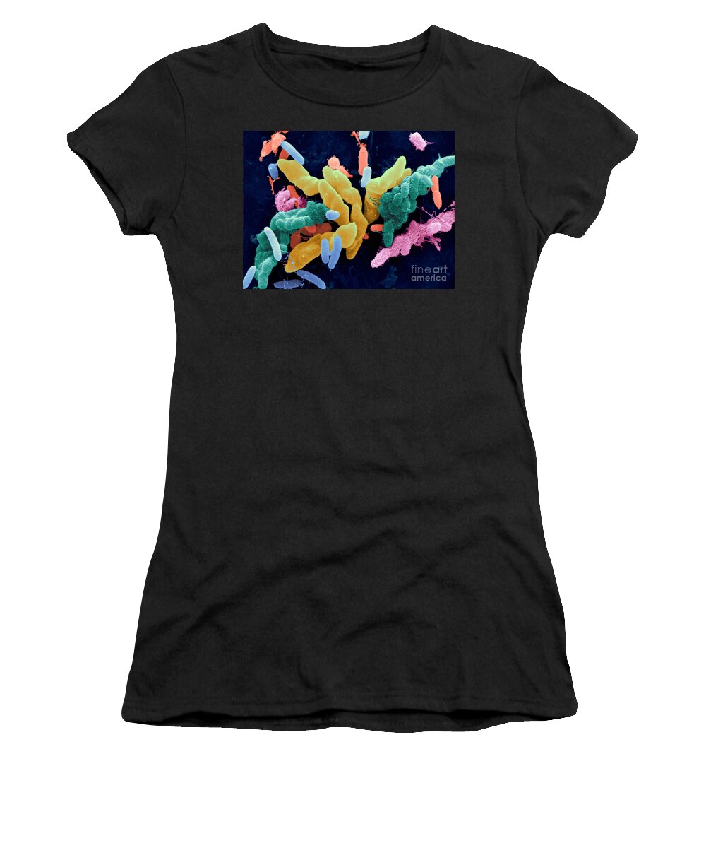 Bacteria Women's T-Shirt featuring the photograph Bacteria In Crow Droppings, Sem #1 by Scimat