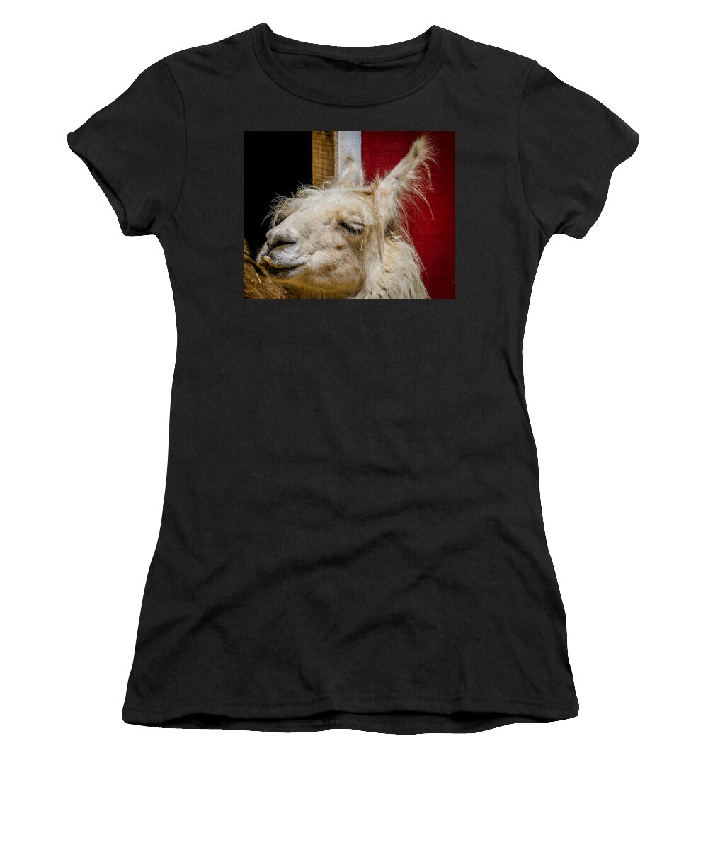 Llama Women's T-Shirt featuring the photograph Bad Hair Day 3 #1 by Kathleen Scanlan