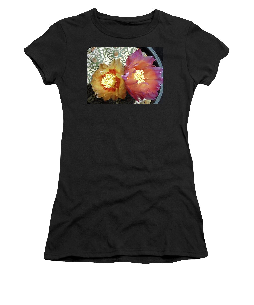 Cactus Women's T-Shirt featuring the photograph Cactus Flower 3 #2 by Selena Boron