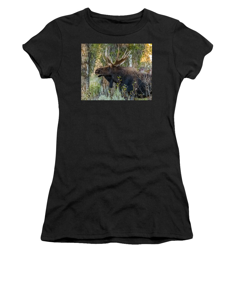 Moose Women's T-Shirt featuring the photograph Calling All His Girls #1 by Yeates Photography