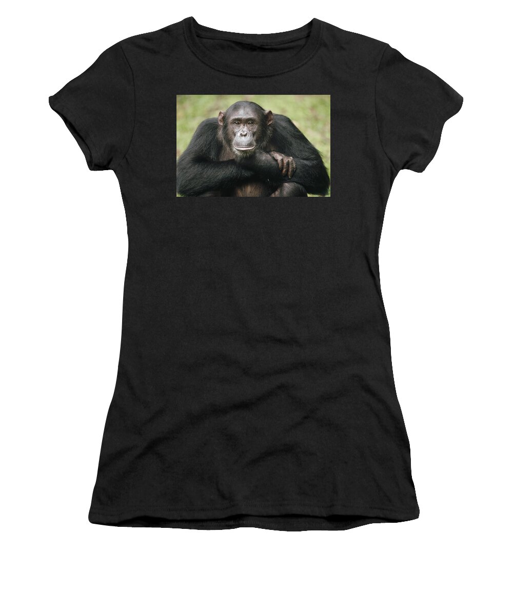 Mp Women's T-Shirt featuring the photograph Chimpanzee Pan Troglodytes Portrait #1 by Gerry Ellis