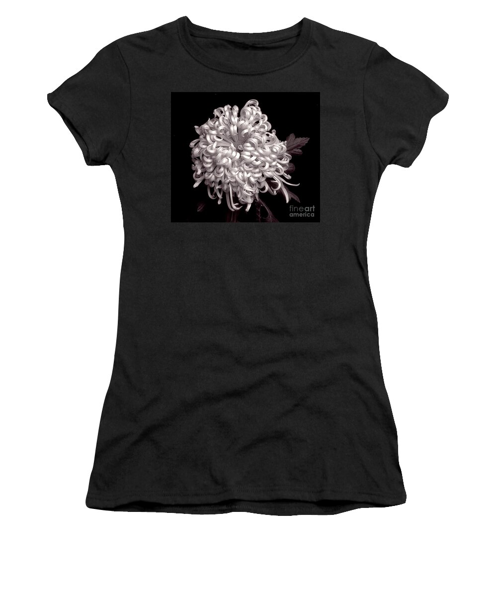 Flower Women's T-Shirt featuring the photograph Chrysanthenmum 'Satin Ribbon' #1 by Ann Jacobson