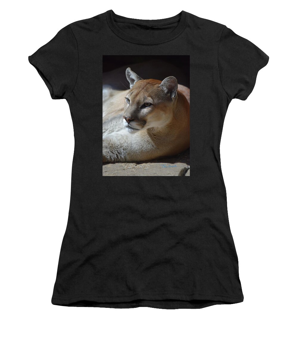 Cougar Women's T-Shirt featuring the photograph Cougar by Chris Busch