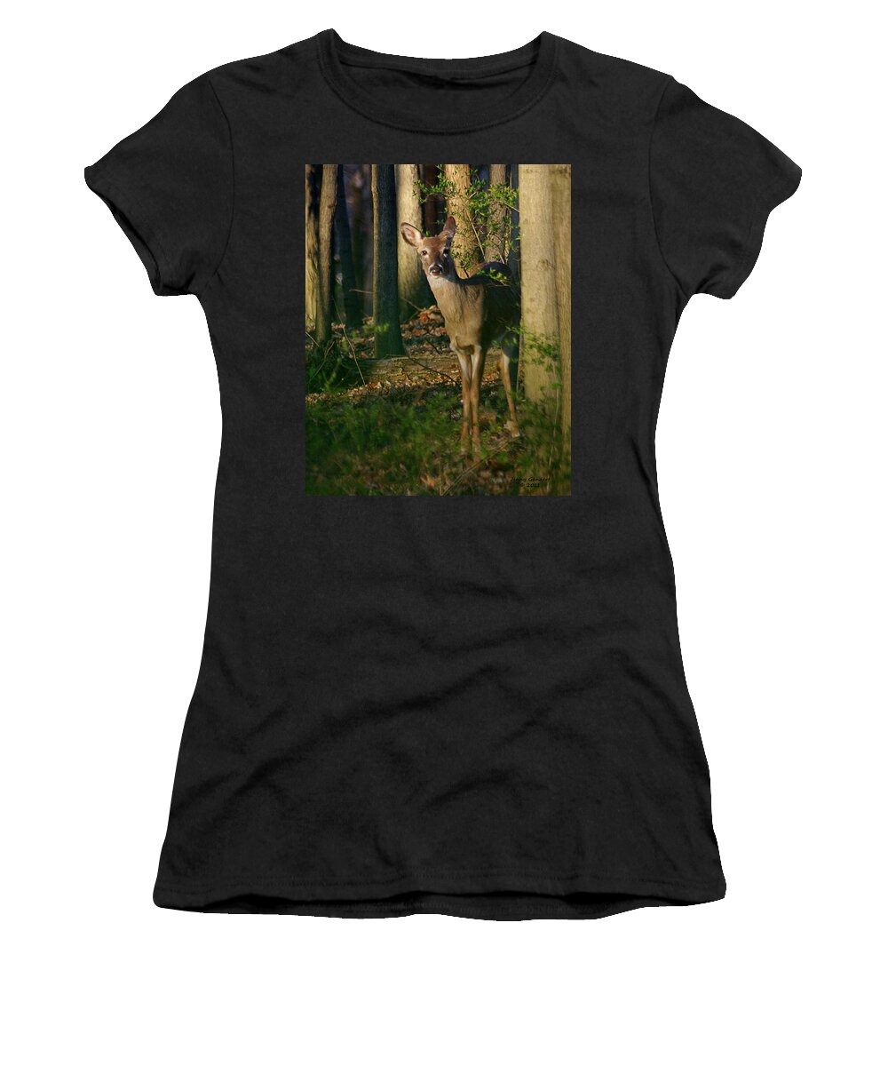 Deer Women's T-Shirt featuring the photograph Enchanted Forest #1 by Jenny Gandert