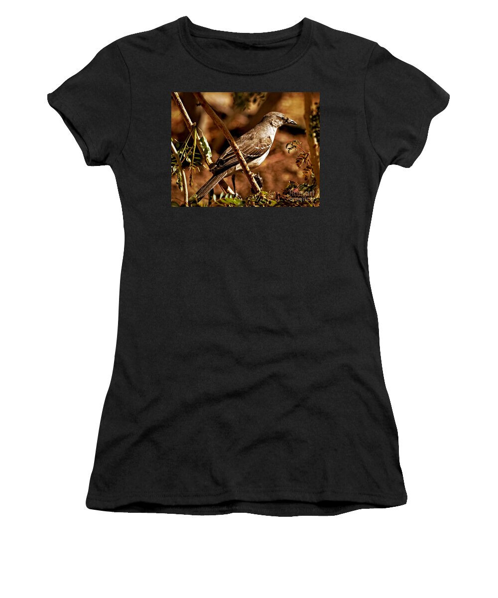 Arizona Women's T-Shirt featuring the photograph Mockingbird #4 by Robert Bales
