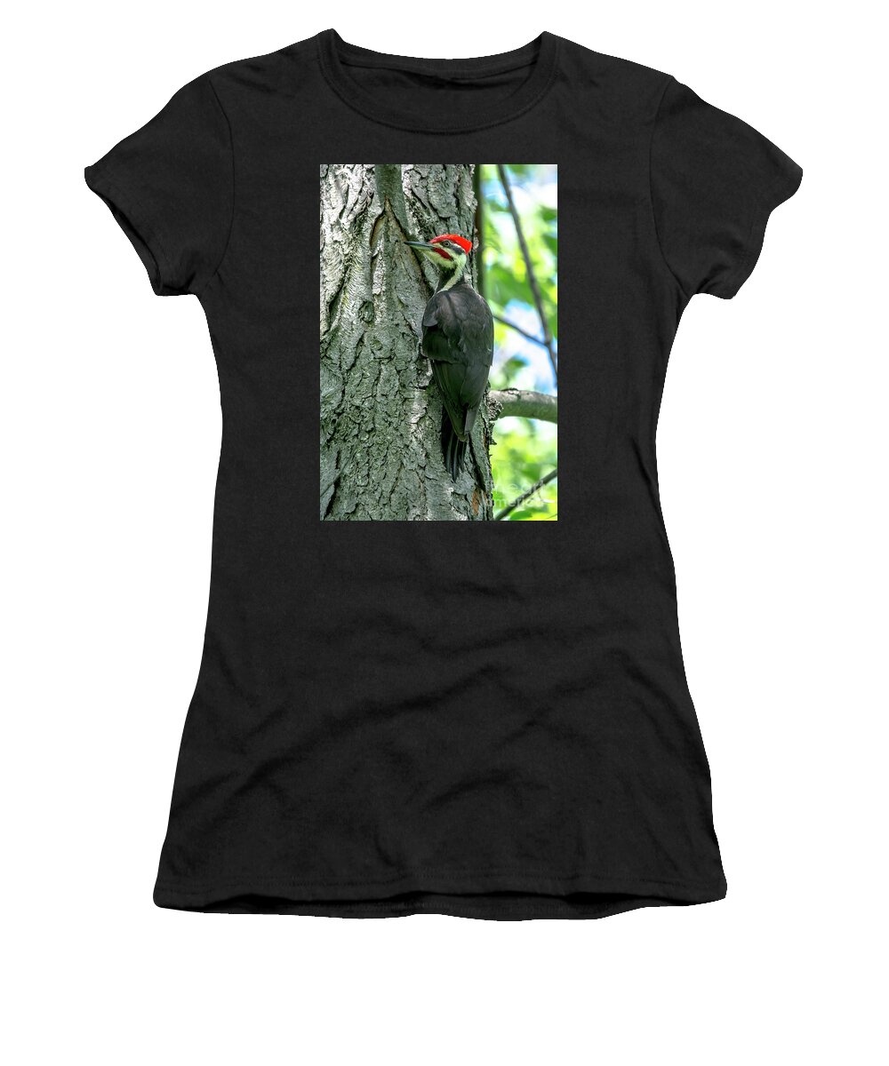 Cheryl Baxter Photography Women's T-Shirt featuring the photograph Mr. Pileated Woodpecker by Cheryl Baxter