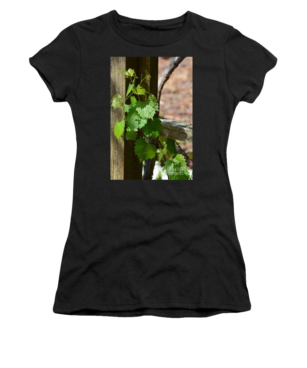 Simple Beauty Women's T-Shirt featuring the photograph Simple Beauty #1 by Maria Urso