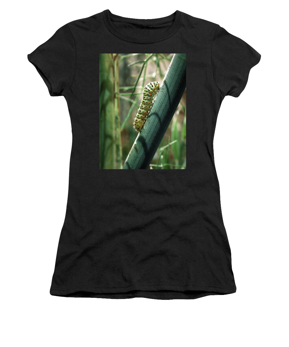 Papilio Machaon Women's T-Shirt featuring the photograph Swallowtail Caterpillar #1 by Meir Ezrachi