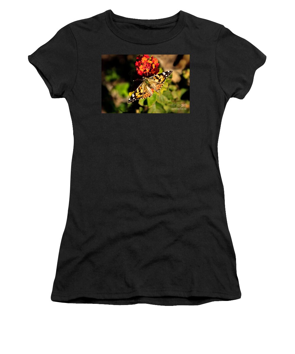 Butterfly Women's T-Shirt featuring the photograph The Painted Lady #1 by Robert Bales