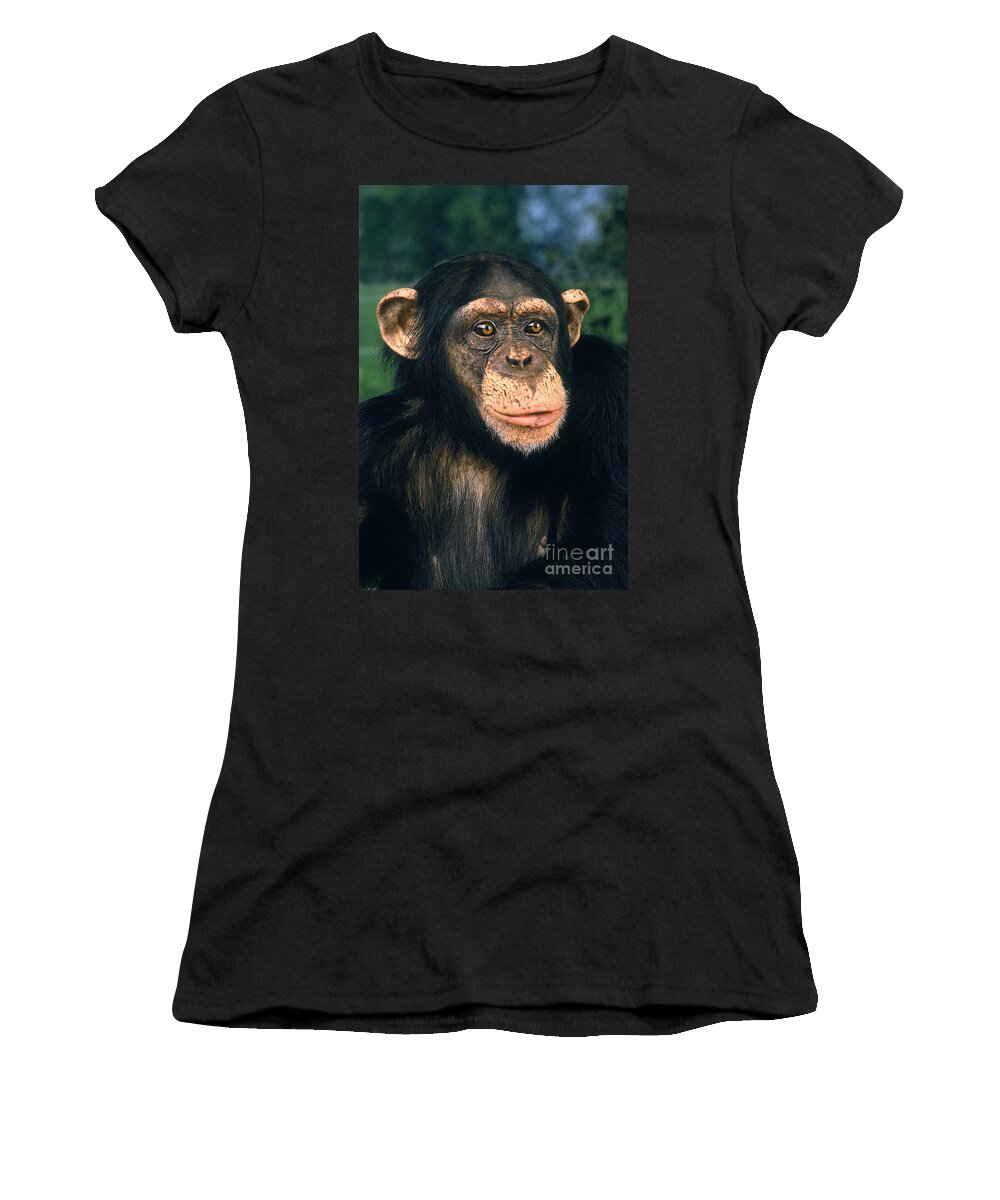 Adult Women's T-Shirt featuring the photograph Chimpanzee Pan Troglodytes #10 by Gerard Lacz