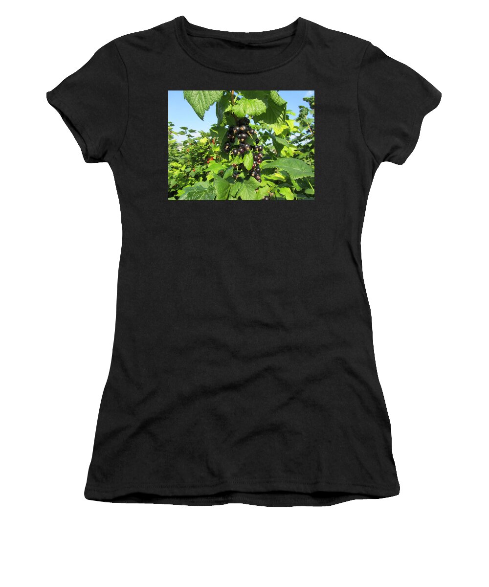 Berry Women's T-Shirt featuring the photograph Berry #14 by Mariel Mcmeeking