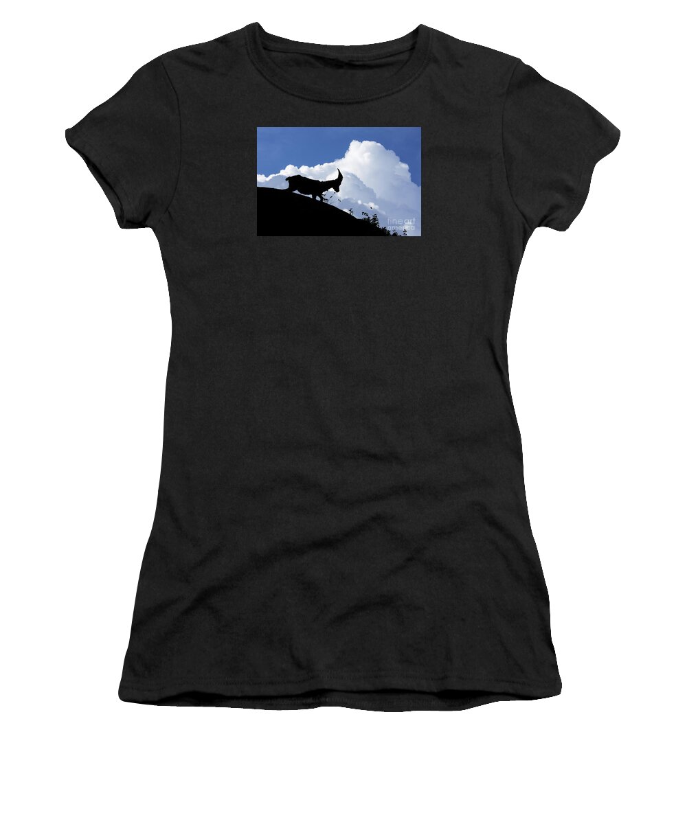 Alpine Ibex Women's T-Shirt featuring the photograph 150622p053 by Arterra Picture Library