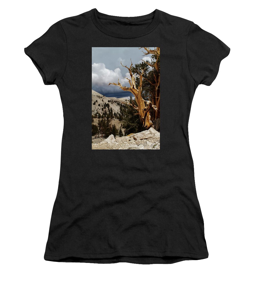 Bristlecone Pine Women's T-Shirt featuring the photograph Bristlecone Pine 4 by Duncan Selby
