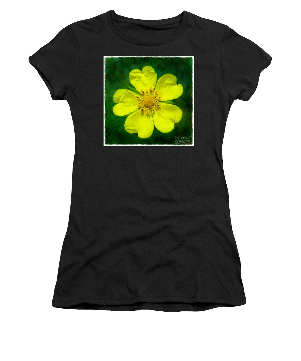 Tiny Women's T-Shirt featuring the photograph Cinquefoil Wildflower #2 by Debbie Portwood