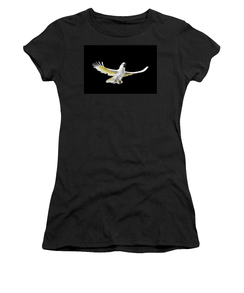 Cockatoo Women's T-Shirt featuring the photograph Flying Crested Cockatoo alba, Umbrella, Indonesia, isolated on Black Background by Sergey Taran