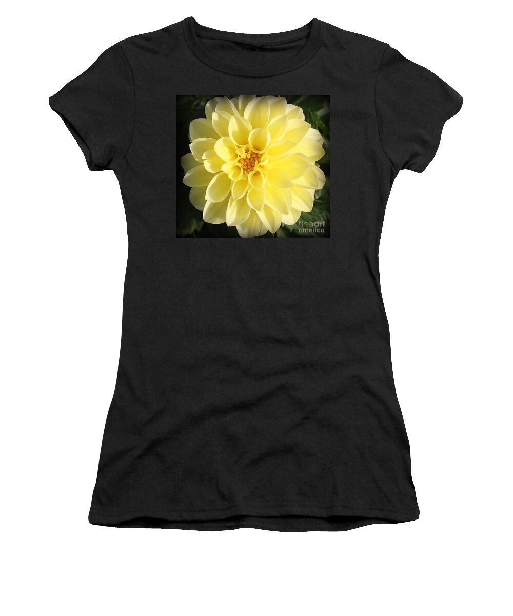 Nature Women's T-Shirt featuring the photograph Glowing Yellow Dahlia #1 by Dora Sofia Caputo