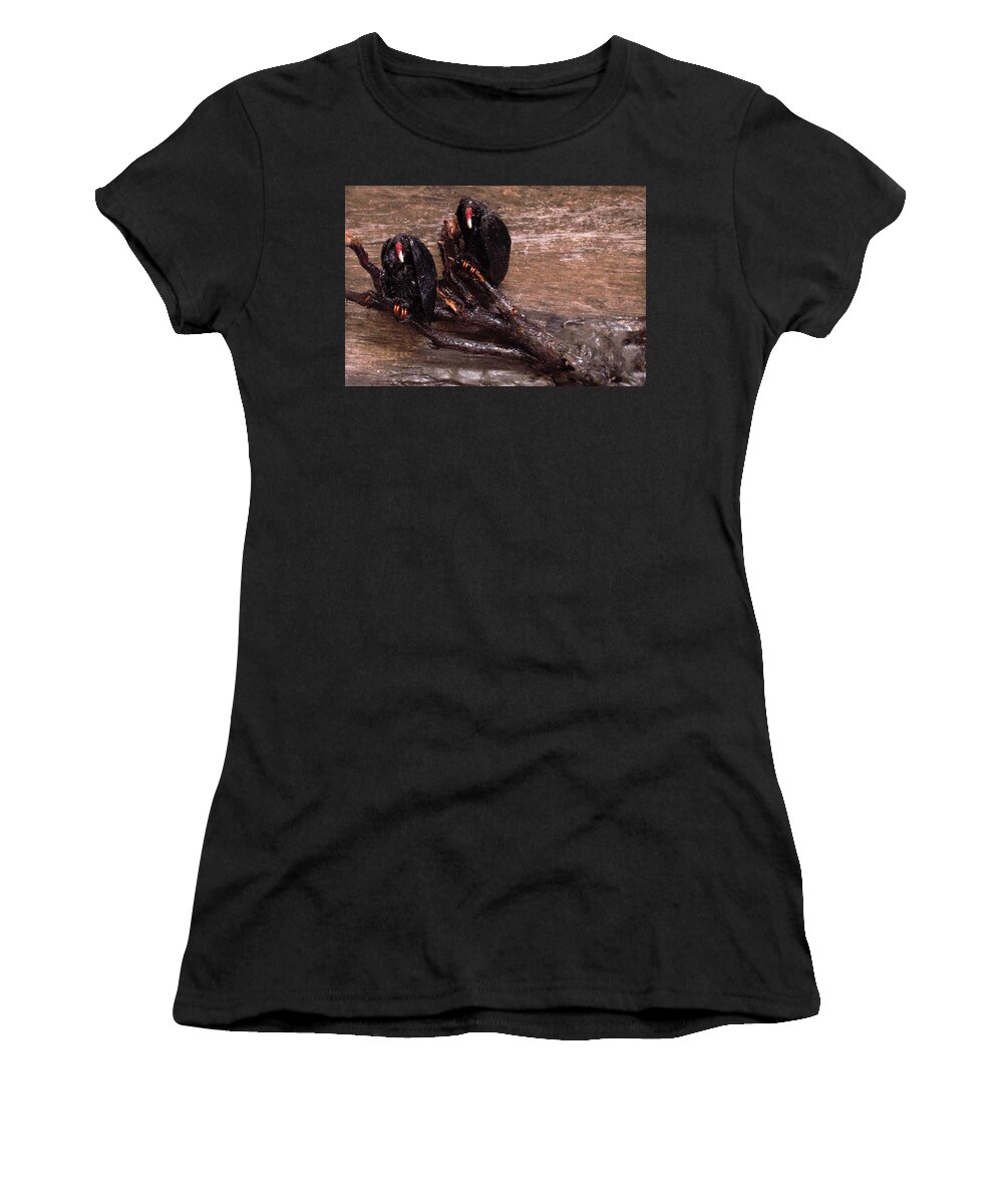 3d Women's T-Shirt featuring the mixed media 2 Hulking Vultures by Roger Swezey