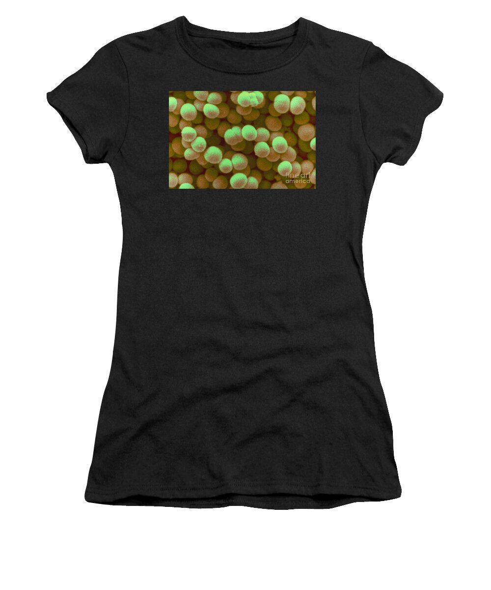 Staphylococcus Bacteria Women's T-Shirt featuring the photograph Staphylococcus Aureus #2 by Scimat