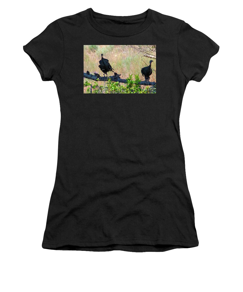 Turkey Women's T-Shirt featuring the photograph Turkey Famiy by Michael Dawson