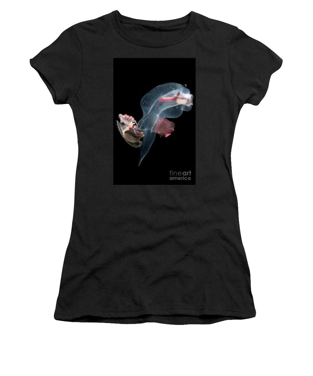Heteropod Women's T-Shirt featuring the photograph Heteropod Mollusk #3 by Dant Fenolio