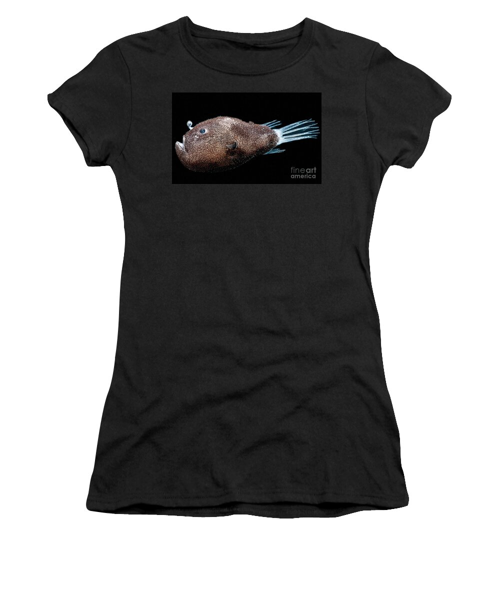 Anglerfish Women's T-Shirt featuring the photograph Triplewart Seadevil #3 by Dant Fenolio
