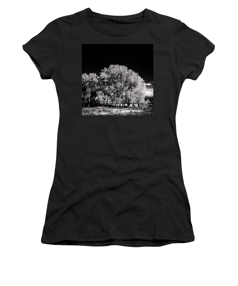 Beautiful Women's T-Shirt featuring the photograph Black And White Summer by Shawn Gordon
